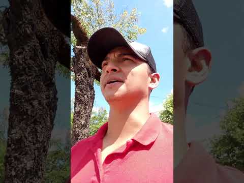 CURTINDO A FOLGA EM JARAGUÁ GOIÁS HOJÊ #viral