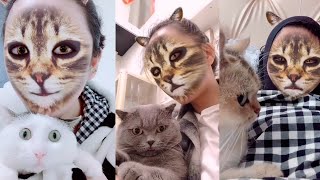 Cats’ hilarious reaction when they see cat filter on owners’ faces | Funny Cat Videos 2019