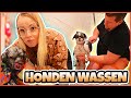 ONZE HONDEN WASSEN VOORDAT DE KiDS THUiS KOMEN | Bellinga Vlog #2733