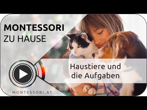 Montessori-Zuhause: Haustiere und Aufgaben der Kinder [Österreichische Montessori-Akademie]