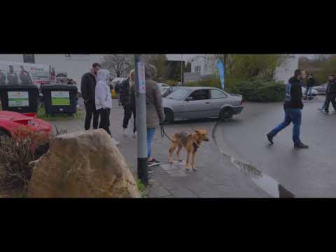 TJ IMPORTS / TOYOTA YARIS GR