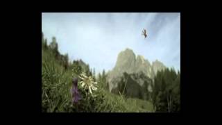 Thomas D. Präsentiert Reflektor Falke - Lektionen in Demut 11.0