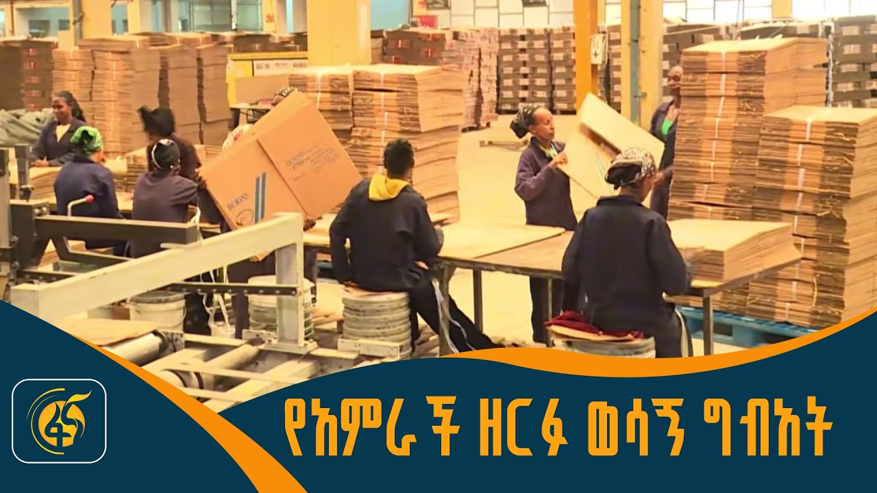 የአምራች ዘርፉ ወሳኝ ግብአት - ኢትዮጵያ ታምርት