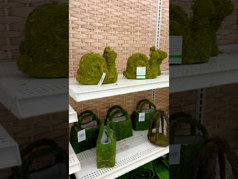 Mossy Moss Everywhere