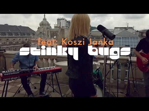 Nekem ez jár | Majka | funk verzió | ft.: Koszi Janka