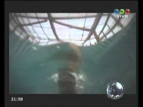 José Meolans:2 Macho Bus 09 De Julio Del 2011