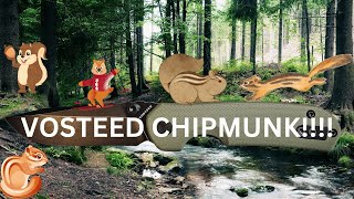 CHECK OUT THIS CUTE LITTLE CHIPMUNK!!!