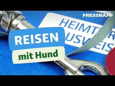 Rehabilitation nach Hüftprothese Schmerz unter dem Schulterblatt bis zum Hals erstreckt