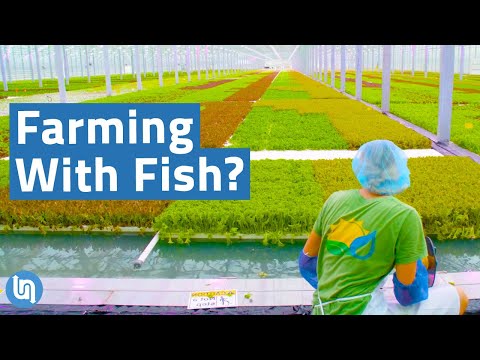 , title : 'Is Aquaponics the Future of Agriculture?'