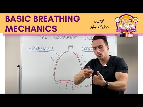 Basic Breathing Mechanics