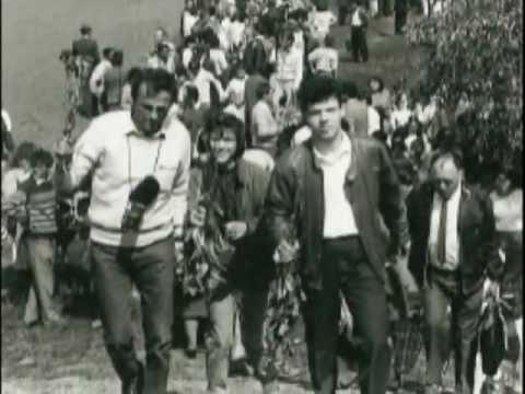 Gheorghe Topa - Dragoste nemarginita