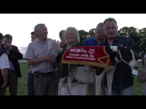 Juvenile Final RPGTV