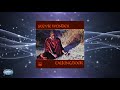 Stevie Wonder - Big Brother