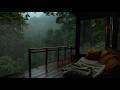Cozy Misty Forest Cabin Rain Sound For Deep Sleep And Calm Mind DEFAULT Thumbnail