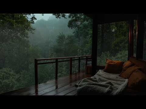 Cozy Misty Forest Cabin Rain Sound For Deep Sleep And Calm Mind