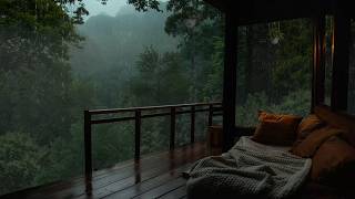 Cozy Misty Forest Cabin Rain Sound For Deep Sleep And Calm Mind MQDEFAULT Thumbnail