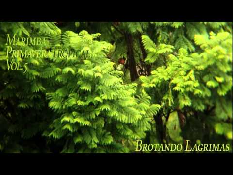 Marimba Primavera Tropical vol.5 -  Brotando lagrimas (Chi elteq yal in sat)