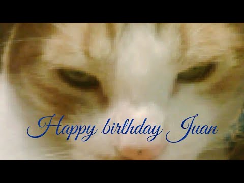 Lucy The Talking Dog S2 Ep14- Happy Birthday  Juan