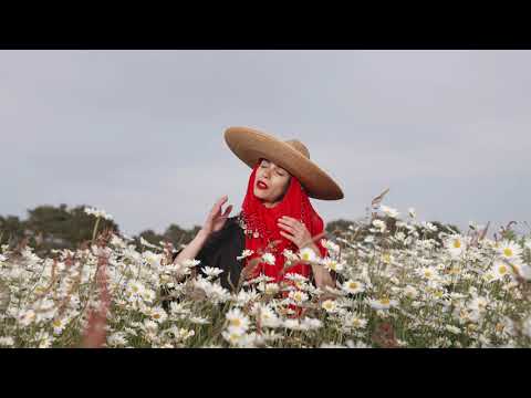 Play Video Youtube Video