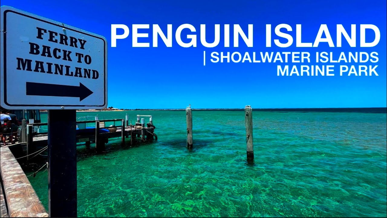 Join an adventurer on a journey to Penguin Island.