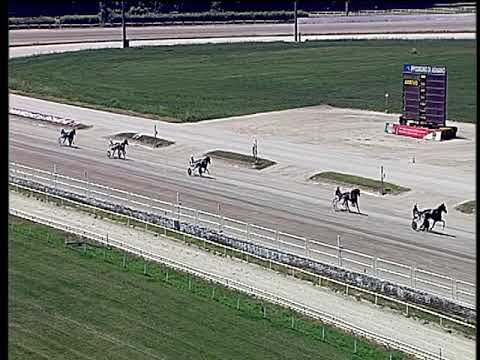 Trotto 13/06/2019 - 1ª prova di qualifica