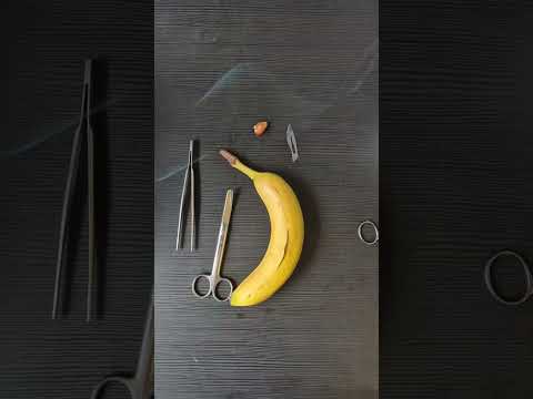 alien in body #vet #medicine #surgery #surgeon #hospital