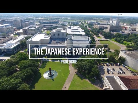 The Japanese Experience: Prologue