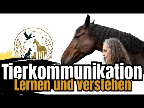 Tierkommunikation Pferd: Tierkommunikation lernen und verstehen