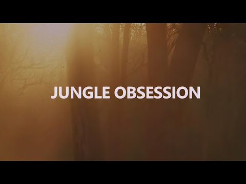 Nino Nardini & Roger Roger - Bagheera (teaser)