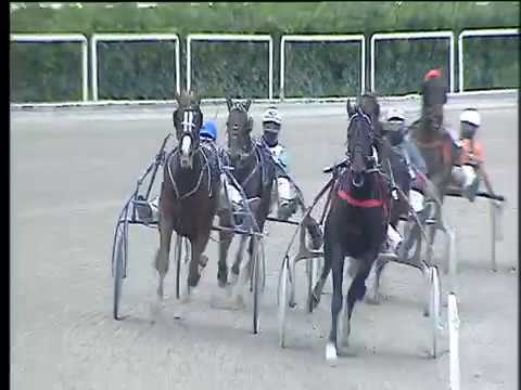 Trotto 19/01/2018 - 4ª corsa