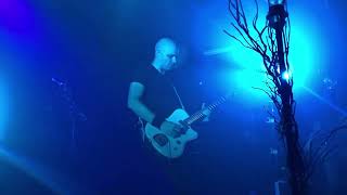 THE OLD DEAD TREE (It’s the same for everyone)  Petit Bain 2022