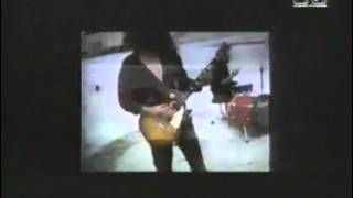 Terry Hoax - Policy of truth