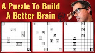 A Puzzle To Build A Better Brain 