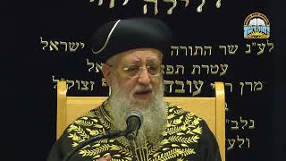 מלחמה： איך ננצח את אויבנו？ I מרן הראשון לציון הגאון רבי דוד יוסף שליט＂א אדר תשפ"ו (רבנים שונים) - התמונה מוצגת ישירות מתוך אתר האינטרנט יוטיוב. זכויות היוצרים בתמונה שייכות ליוצרה. קישור קרדיט למקור התוכן נמצא בתוך דף הסרטון