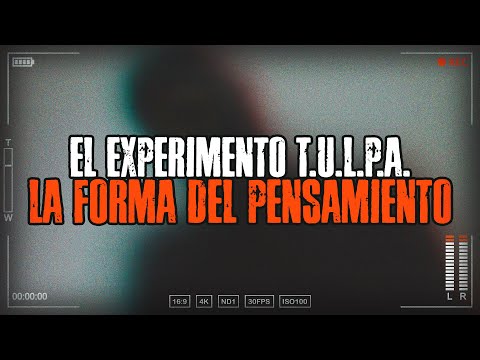 T.U.L.P.A. - /x/ Una historia de 4chan /🍀/