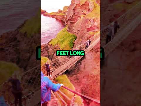 😲Dangerous bridges you won't believe #shorts #viral #dangerous