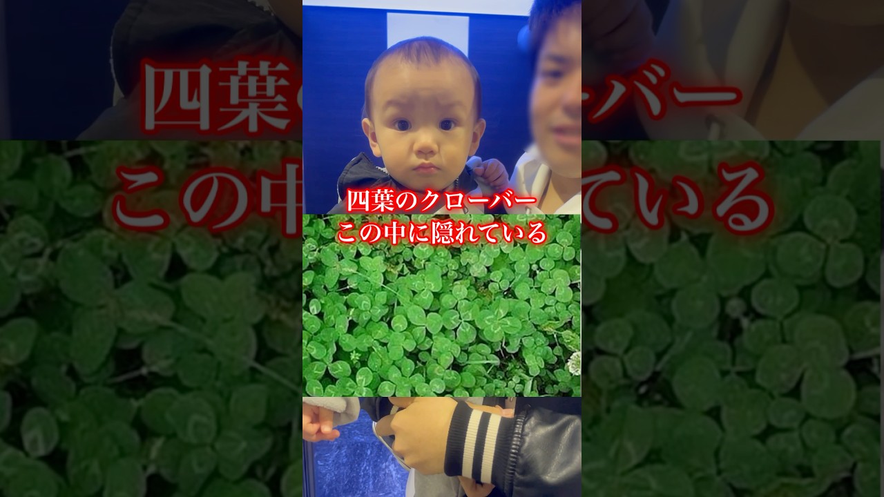 幸運になれるかも？#shorts