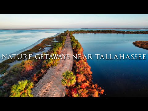 Top 5 Nature GETAWAYS Near Tallahassee, Florida!