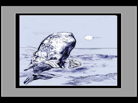 Moby Dick By Herman Melville Audio Book Chapter 81-82