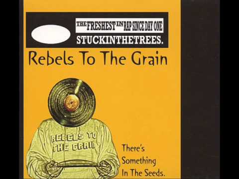 Rebels to The Grain Feat. Enea _State Of Mind_