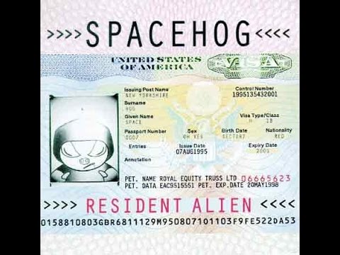 Spacehog - In The Meantime