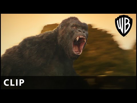 Magnificent Clip