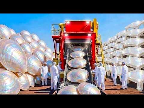 Inside the High-Tech Seashell Factory You've Never Seen Before: From Raw Seashell to Seashell Table