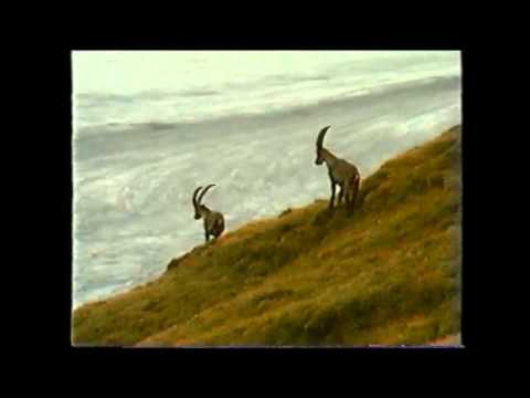 Großglocknerkapelle Kals Hoch drobm am Glocknerspitz