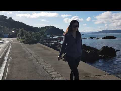 googlemo.com New Zealands  Karaka bay Wellington on the magnamanus the sunsiest of  days