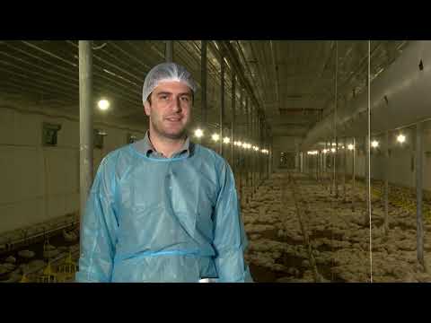 საკვების დამზადებიდან ფერმის აუდიტამდე