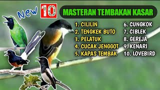 Download lagu 10 Pemasteran Jitu | Murai Batu | Kacer | Cucak Ijo | Paket Lengkap mp3 Download lagu 10 Pemasteran Jitu | Murai Batu | Kacer | Cucak Ijo | Paket Lengkap mp3