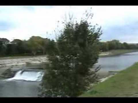 Una vita da precario!