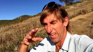 San Francisco ween adventure