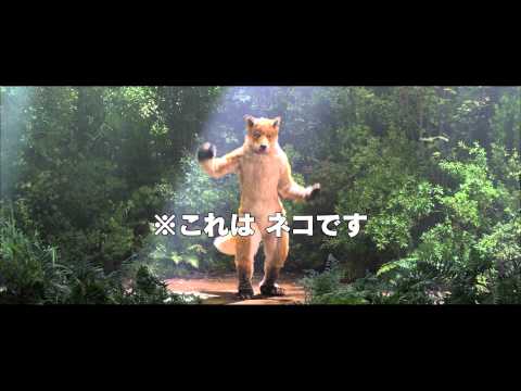 映画『ジャッジ！』TVCM15秒きつね篇